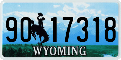 WY license plate 9017318