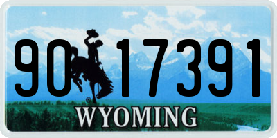 WY license plate 9017391