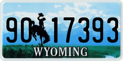 WY license plate 9017393