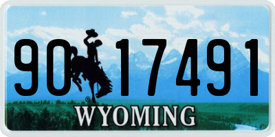 WY license plate 9017491