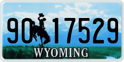 WY license plate 9017529