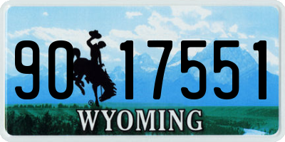 WY license plate 9017551