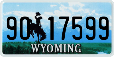 WY license plate 9017599