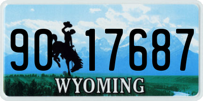 WY license plate 9017687