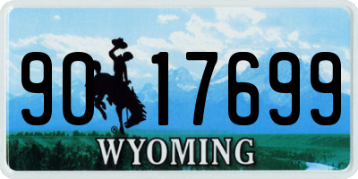 WY license plate 9017699