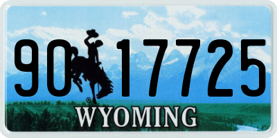 WY license plate 9017725