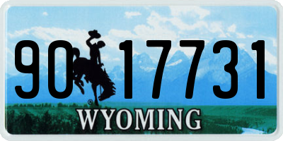 WY license plate 9017731