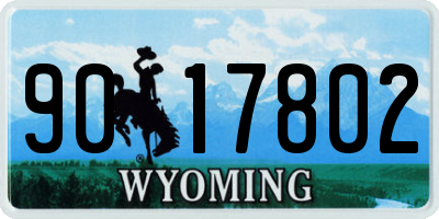 WY license plate 9017802