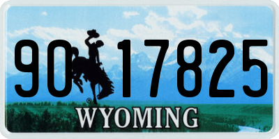 WY license plate 9017825