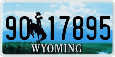 WY license plate 9017895