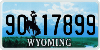 WY license plate 9017899