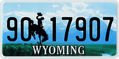 WY license plate 9017907