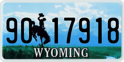 WY license plate 9017918