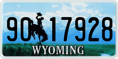 WY license plate 9017928