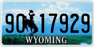 WY license plate 9017929