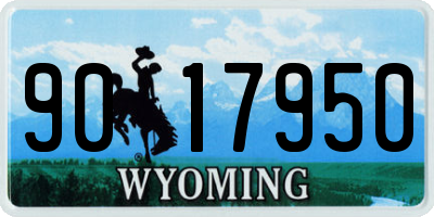 WY license plate 9017950