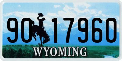 WY license plate 9017960