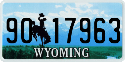 WY license plate 9017963