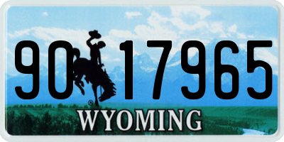 WY license plate 9017965