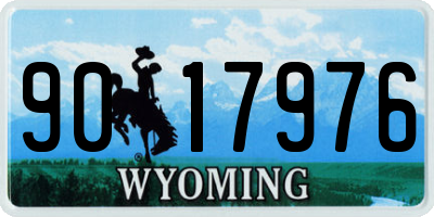 WY license plate 9017976
