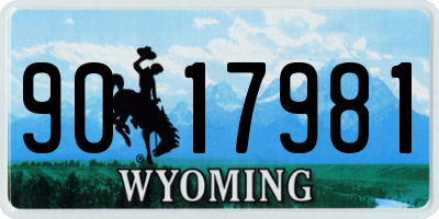 WY license plate 9017981