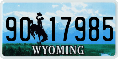 WY license plate 9017985