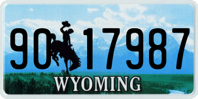 WY license plate 9017987