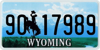 WY license plate 9017989