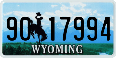 WY license plate 9017994
