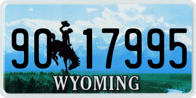 WY license plate 9017995