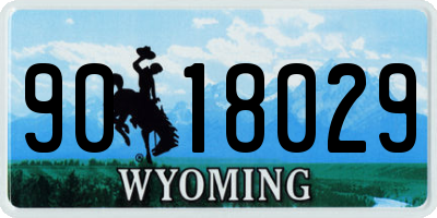 WY license plate 9018029