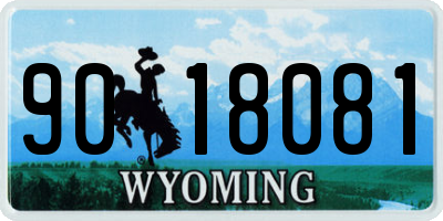 WY license plate 9018081