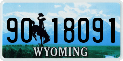 WY license plate 9018091