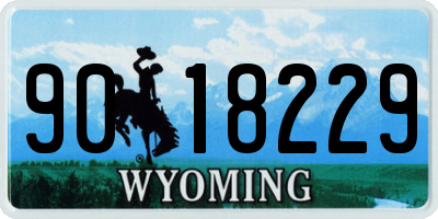 WY license plate 9018229