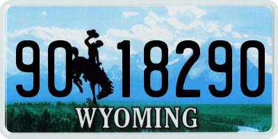 WY license plate 9018290