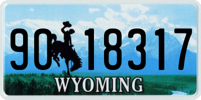 WY license plate 9018317