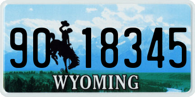 WY license plate 9018345
