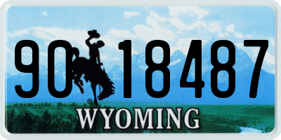 WY license plate 9018487