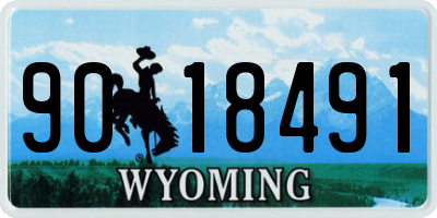 WY license plate 9018491