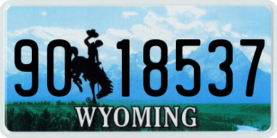 WY license plate 9018537