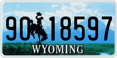 WY license plate 9018597