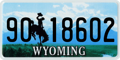 WY license plate 9018602