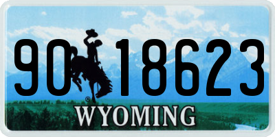 WY license plate 9018623