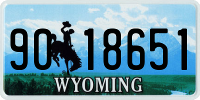 WY license plate 9018651