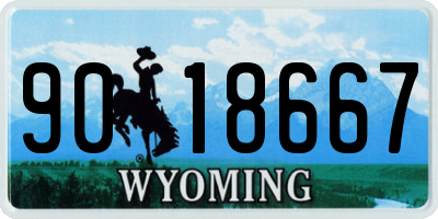 WY license plate 9018667