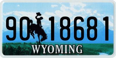 WY license plate 9018681