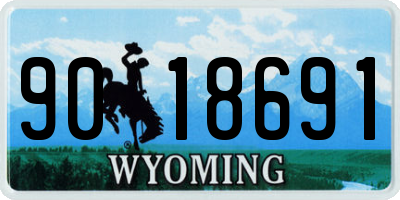 WY license plate 9018691