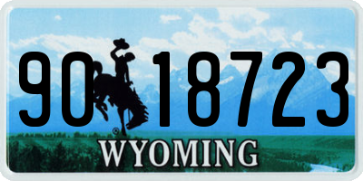 WY license plate 9018723