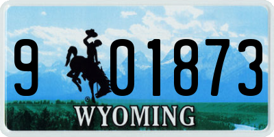 WY license plate 901873