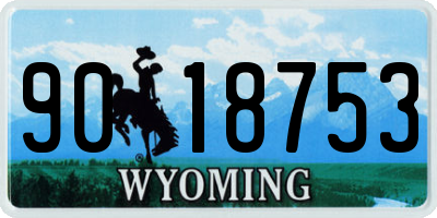 WY license plate 9018753